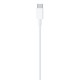 Apple/Apple USB-C to Lightning Connection Cable (1 meter)